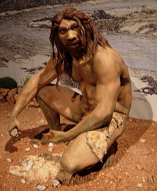 Αναπαράσταση της πιθανής εμφάνισης ενός Homo Heidelbergensis με βάση σκελετικό υλικό ηλικίας 400.000 ετών,που βρέθηκε στην Ισπανία. Δεν υπάρχουν στοιχεία για την τριχοφυΐα και το χρώμα του δέρματος και των μαλλιών - αυτά που βλέπουμε αποτελούν επιλογή του καλλιτέχνη που κατασκεύασε το ομοίωμα. Η φωτογραφία από εδώ.